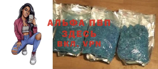 ECSTASY Костерёво