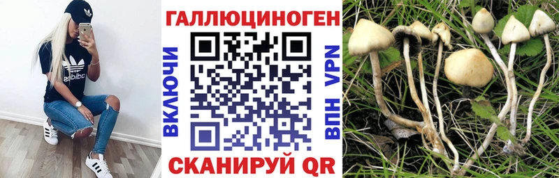 Купить  Заозёрный  Галлюциногенные грибы ЛСД 